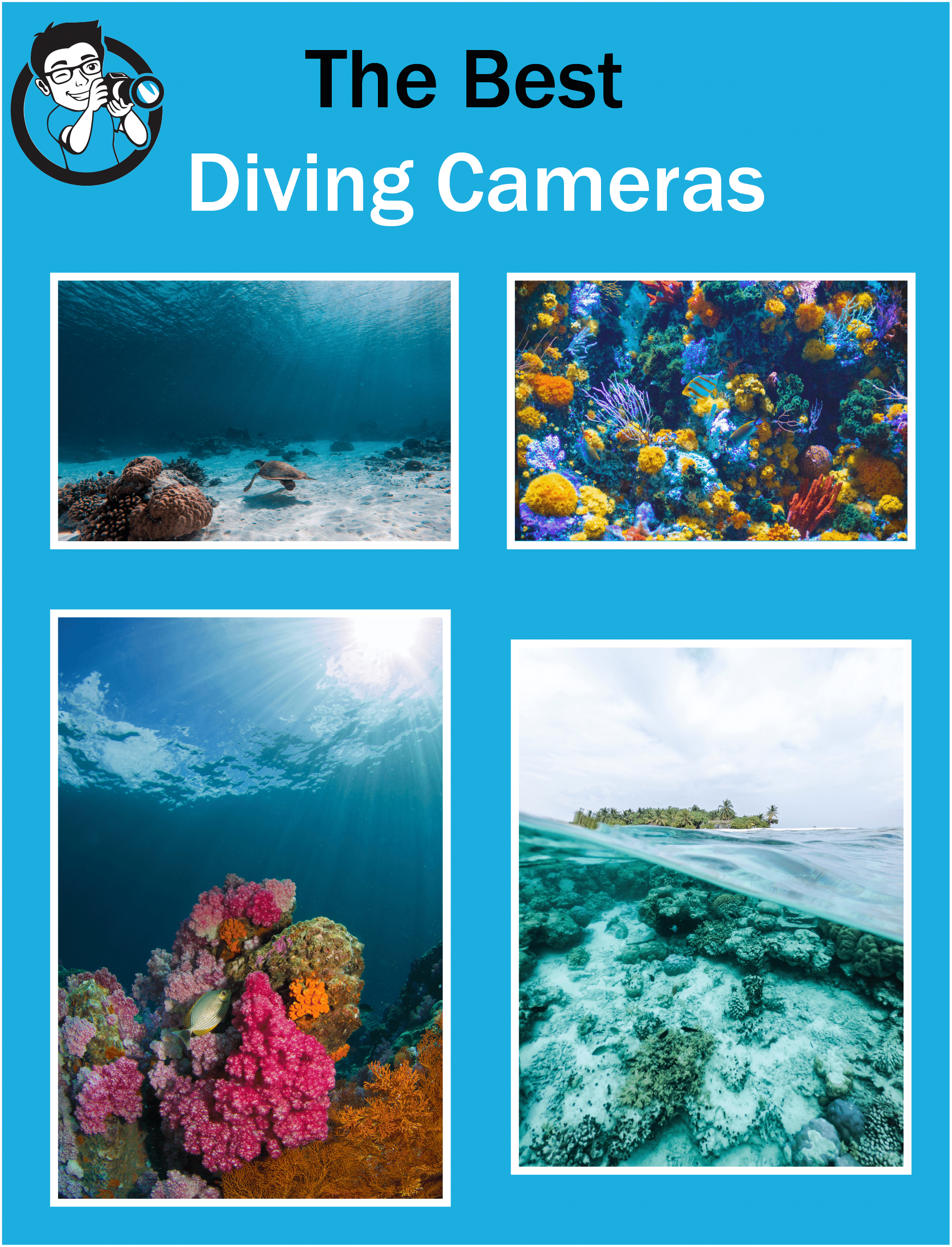 Find the Best Diving Cameras in 2021 (7 Amazing Picks)